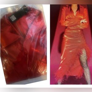CORSET DETAIL SATIN REAL FEATHER MIDI DRESS
Color
RED
Size
L